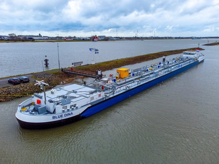 Blue-Dina-3-1500x1125